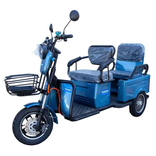 Pushpak Motors 3000 Two-Person Heavy Duty Scooter Pushpak Motors