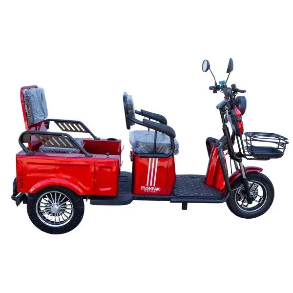 Pushpak Motors 3000 Two-Person Heavy Duty Scooter Pushpak Motors