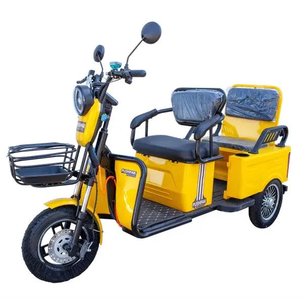 Pushpak Motors 3000 Two-Person Heavy Duty Scooter Pushpak Motors