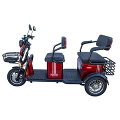 Pushpak Motors 4000 Two-Person Heavy Duty Scooter Pushpak Motors