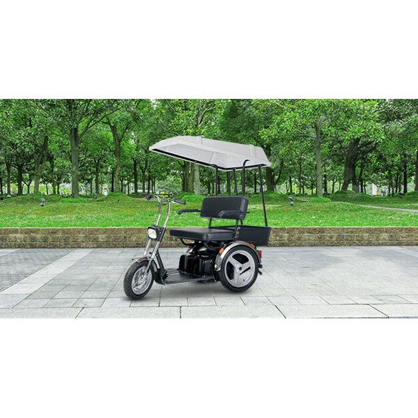 Afikim Afiscooter SE 3 Wheel Multi-Purpose All Terrain Mobility Scooter Afikim